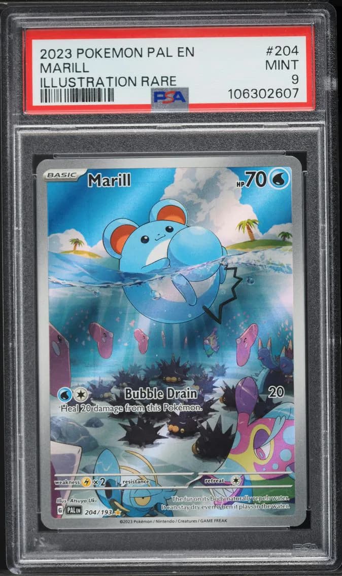 Marill, Paldea Evolved, PSA 9
