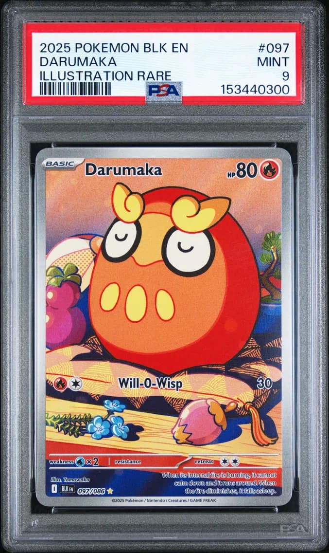 Darumaka, Black Bolt, PSA 9