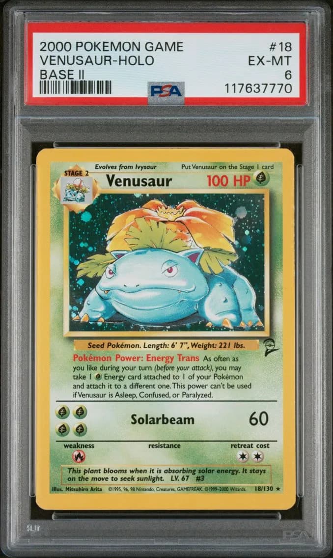 Venusaur-Holo, Game Base II, PSA 6