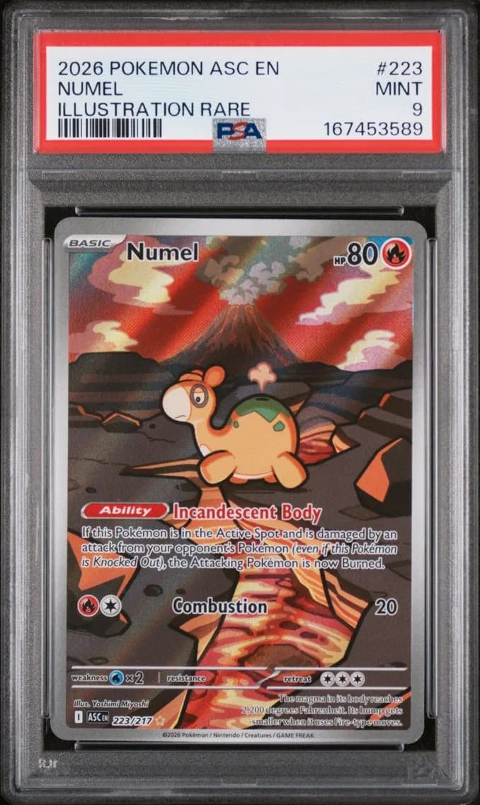 Numel, Ascended Heroes, PSA 9