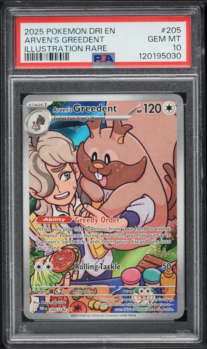 Arven's Greedent, Destined Rivals, PSA 10