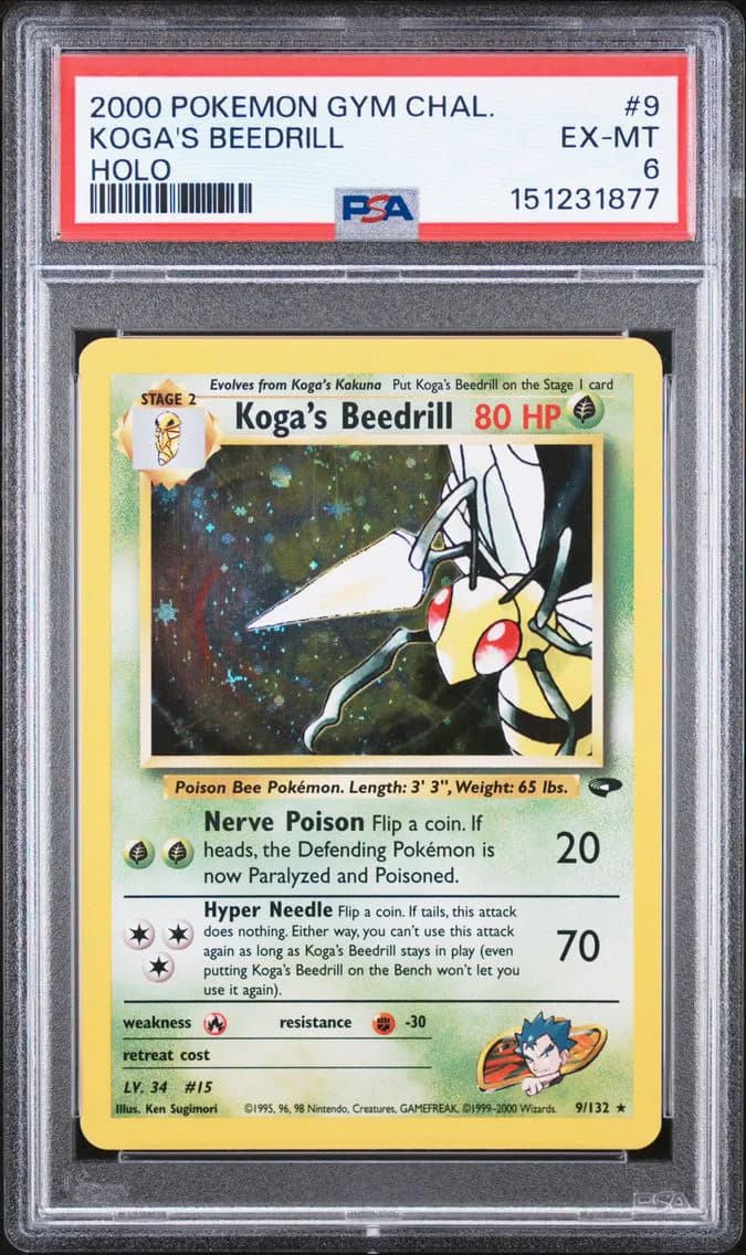 Koga's Beedrill, Gym Challenge, PSA 6