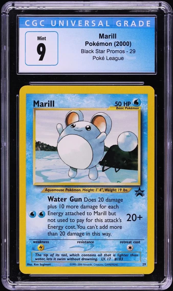 Marill, Black Star Promos - WotC, CGC 9