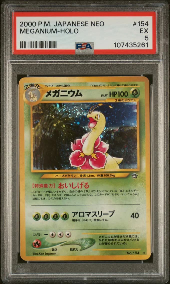 Meganium-Holo, Japanese Neo, PSA 5