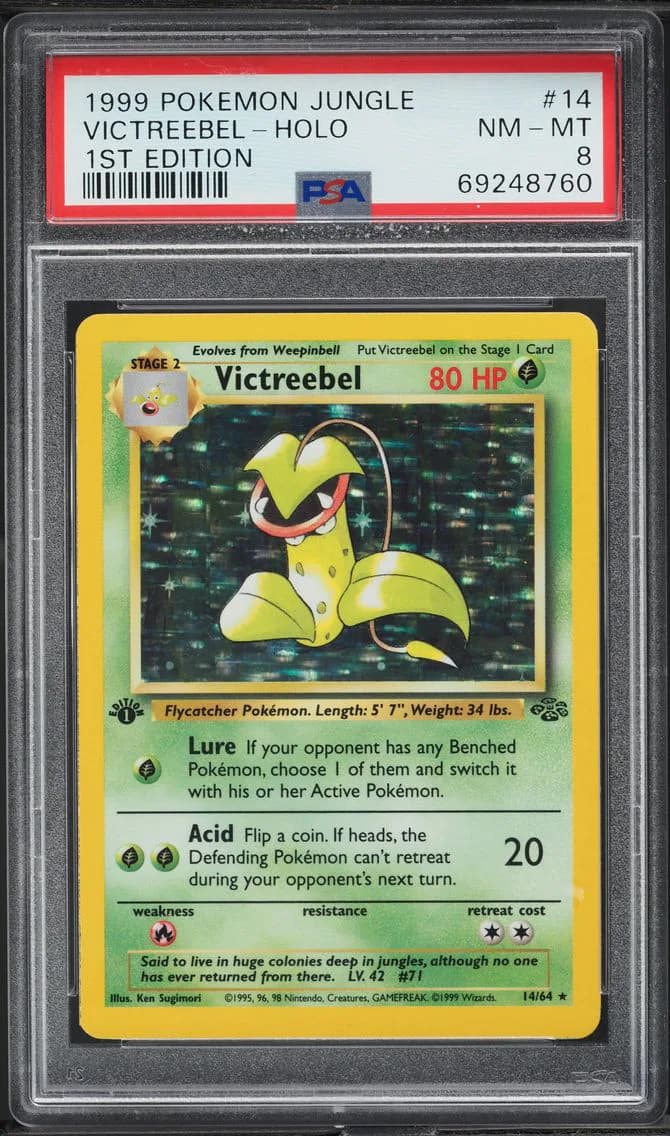 Jungle 1st Edition Holo Victreebel, Jungle, PSA 8
