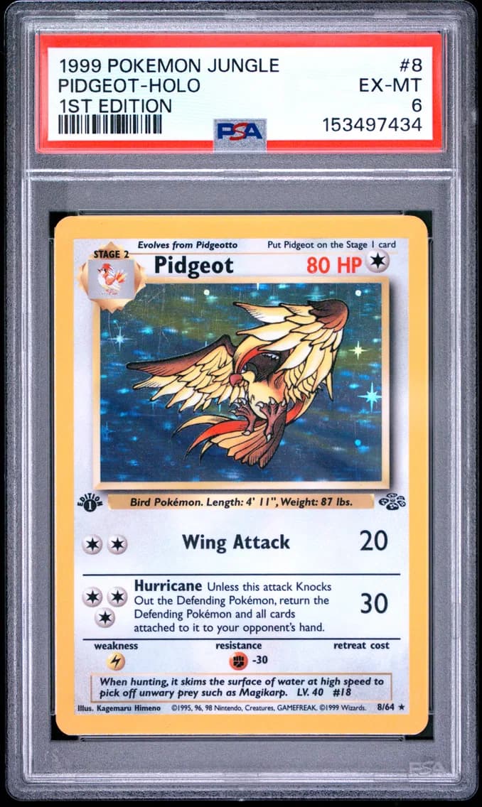 Pidgeot-Holo 1st Edition, Jungle, PSA 6