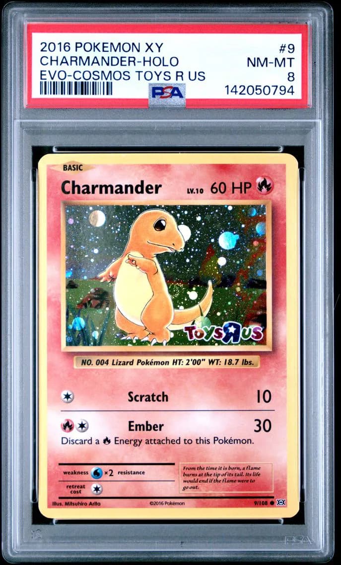 Charmander-Holo, XY Evolutions, PSA 8