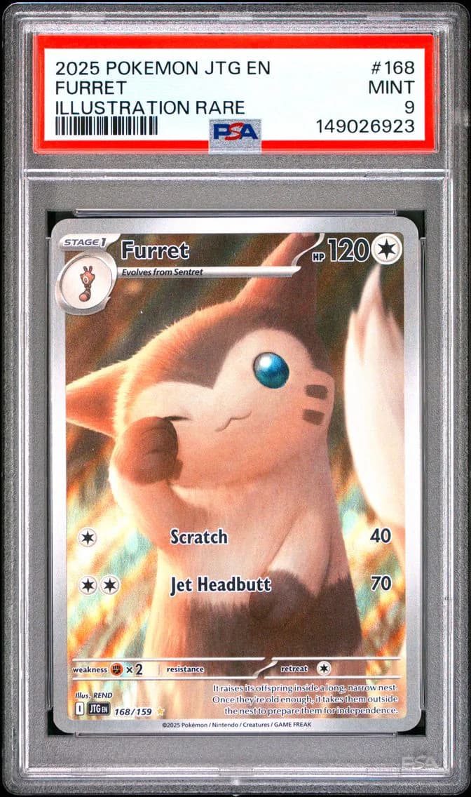 Furret, Journey Together, PSA 9