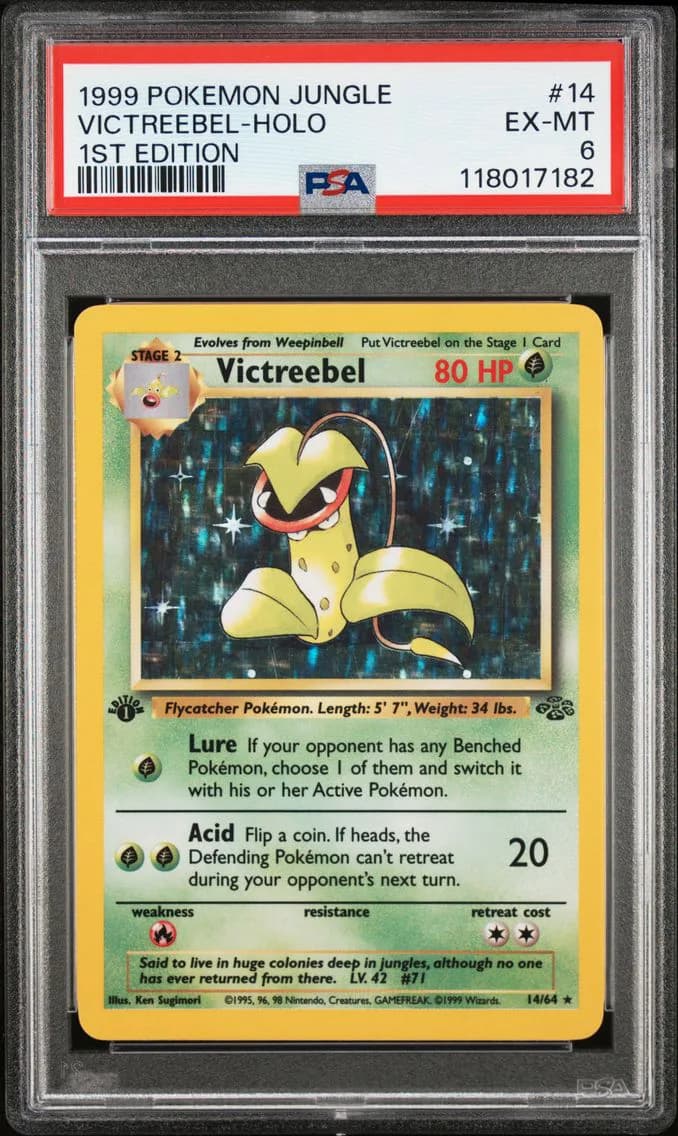 Victreebel-Holo 1st Edition, Jungle, PSA 6