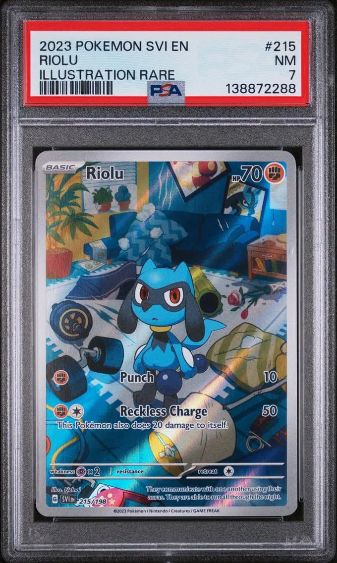 Riolu, Scarlet & Violet, PSA 7