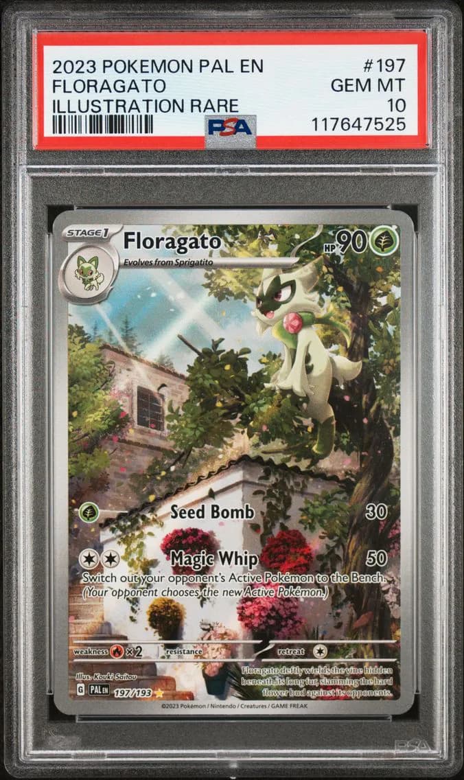 Floragato, Paldea Evolved, PSA 10