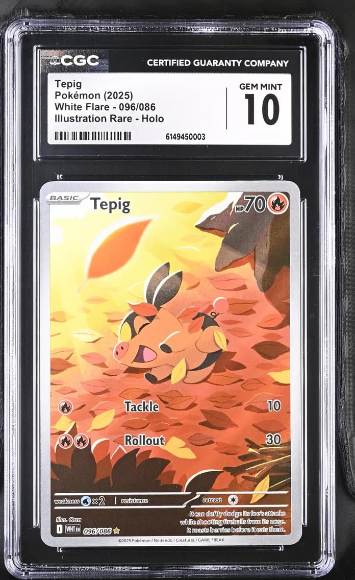 Tepig, White Flare, CGC 10