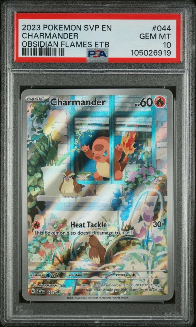 Charmander, SV Black Star Promo, PSA 10