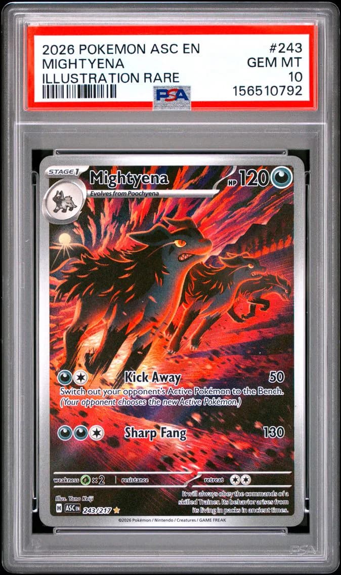 Mightyena, Ascended Heroes, PSA 10