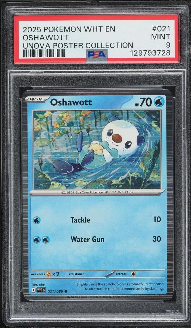 Oshawott, White Flare, PSA 9