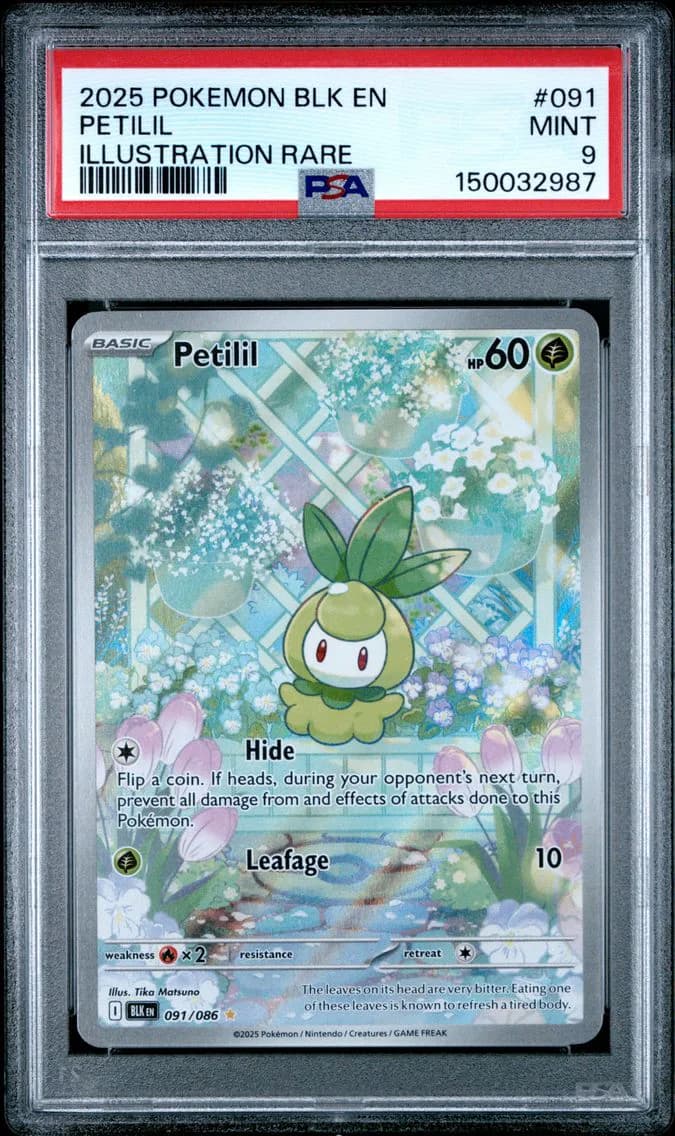 Petilil, Black Bolt, PSA 9
