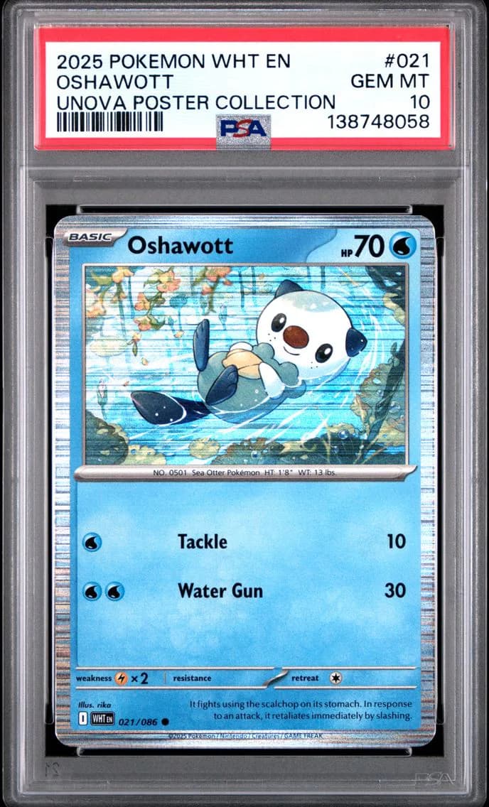 Oshawott, White Flare, PSA 10