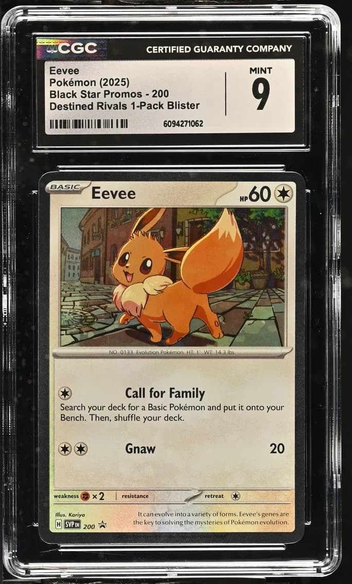 Eevee, Black Star Promos - Scarlet & Violet SVP EN, CGC 9
