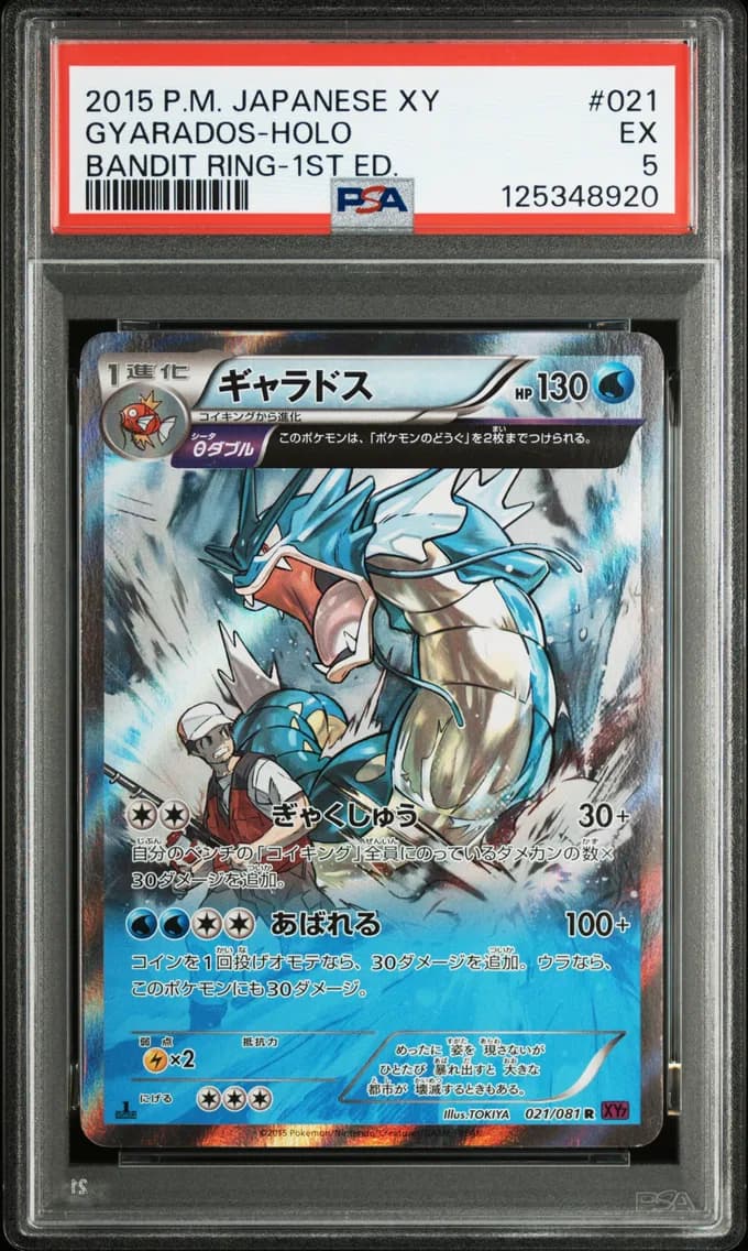 Gyarados-Holo 1st Edition, Japanese XY Bandit Ring, PSA 5