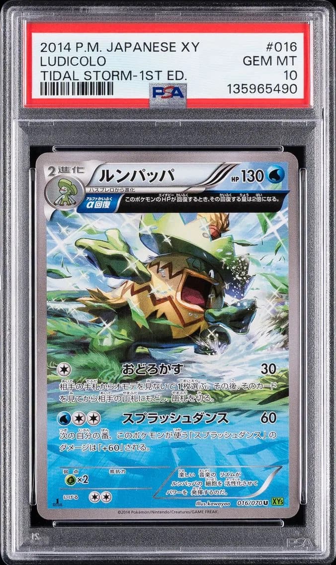 Ludicolo 1st Edition, Japanese XY Tidal Storm, PSA 10