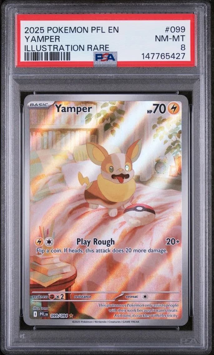 Yamper, Phantasmal Flames, PSA 8