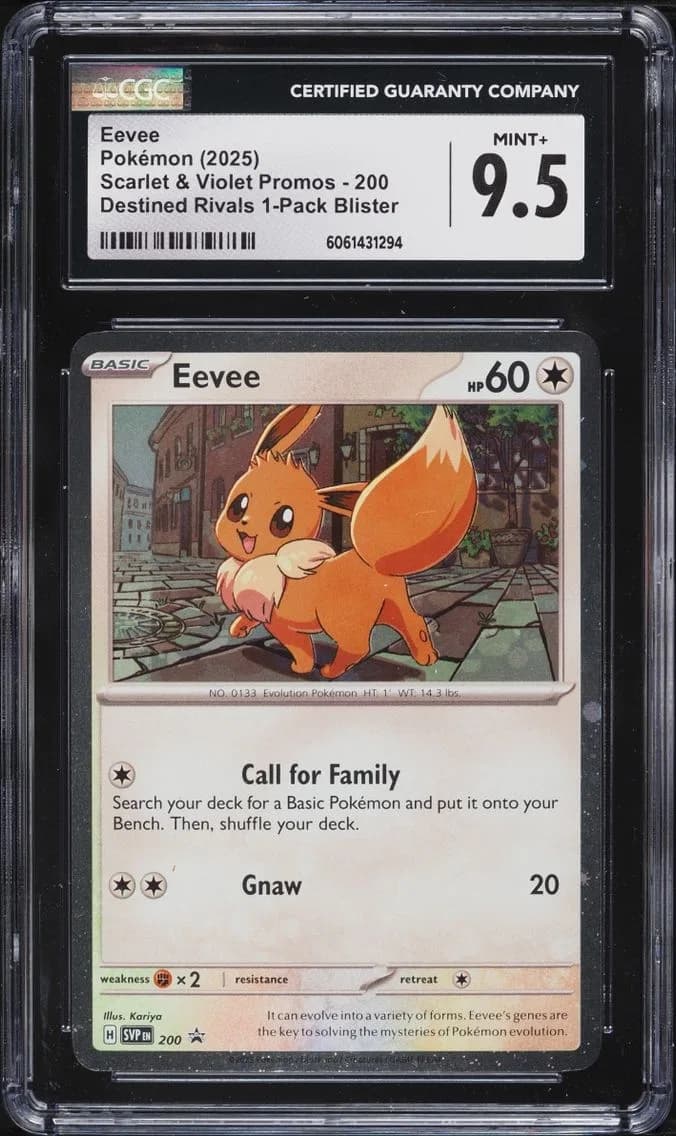 Rivals Eevee, Black Star Promos - Scarlet & Violet SVP EN, CGC 9.5