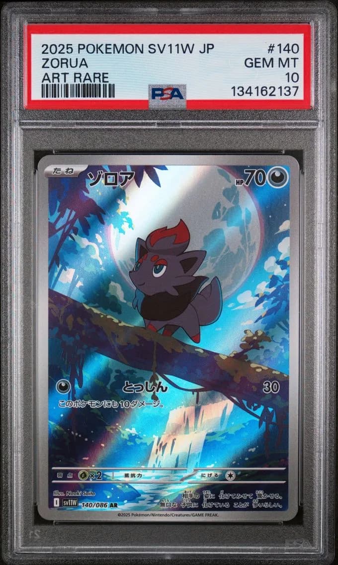 Zorua, Japanese Sv11w-White Flare, PSA 10