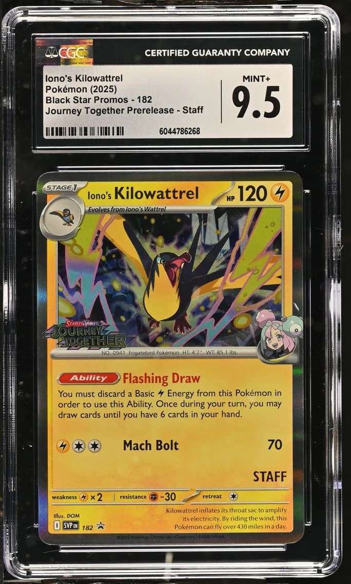 Iono's Kilowattrel, Black Star Promos - Scarlet & Violet SVP EN, CGC 9.5