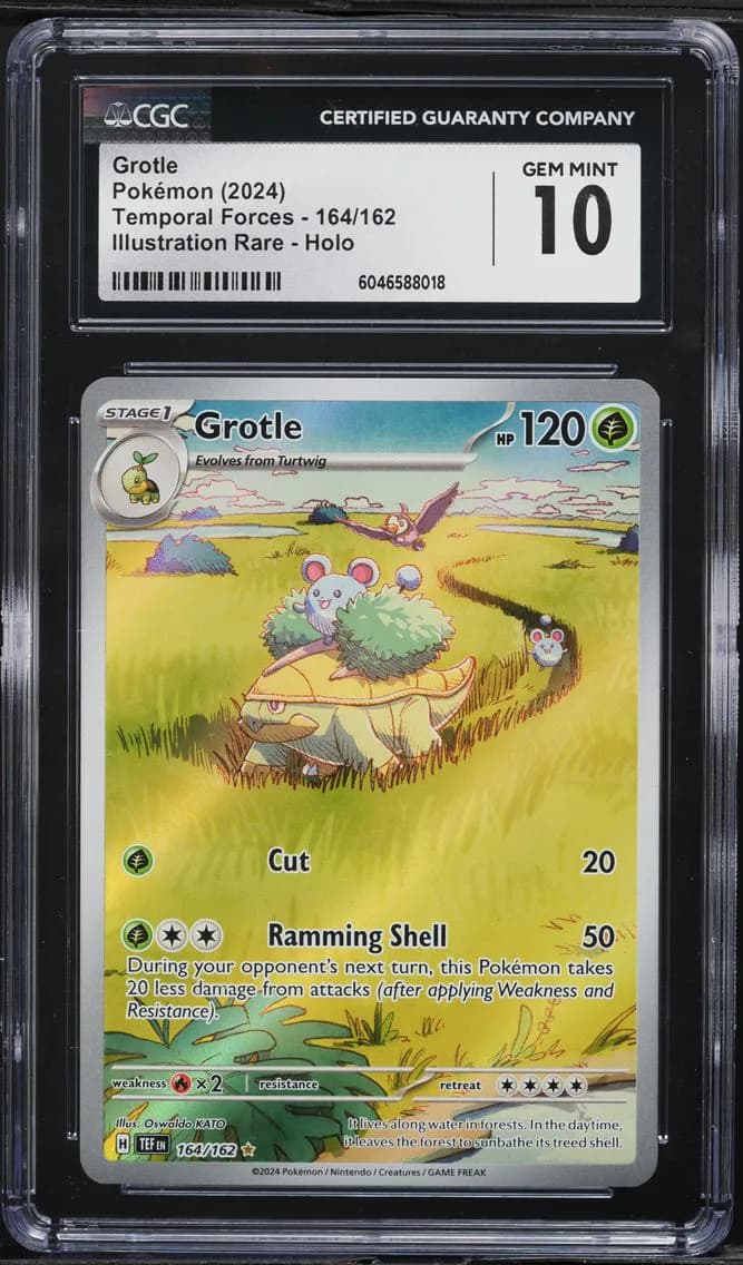 Grotle, Temporal Forces, CGC 10