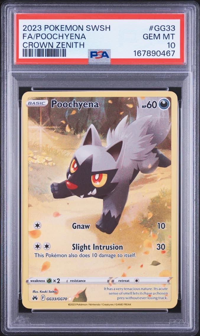 Poochyena, Sword and Shield Crown Zenith, PSA 10