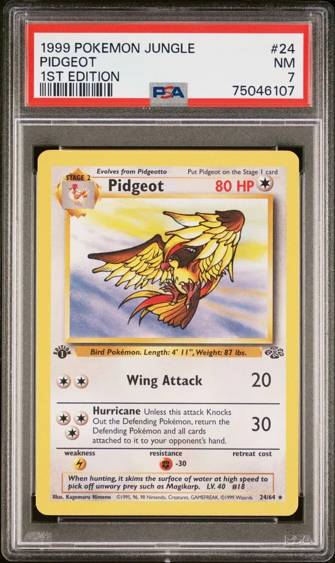 Pidgeot 1st Edition, Jungle, PSA 7
