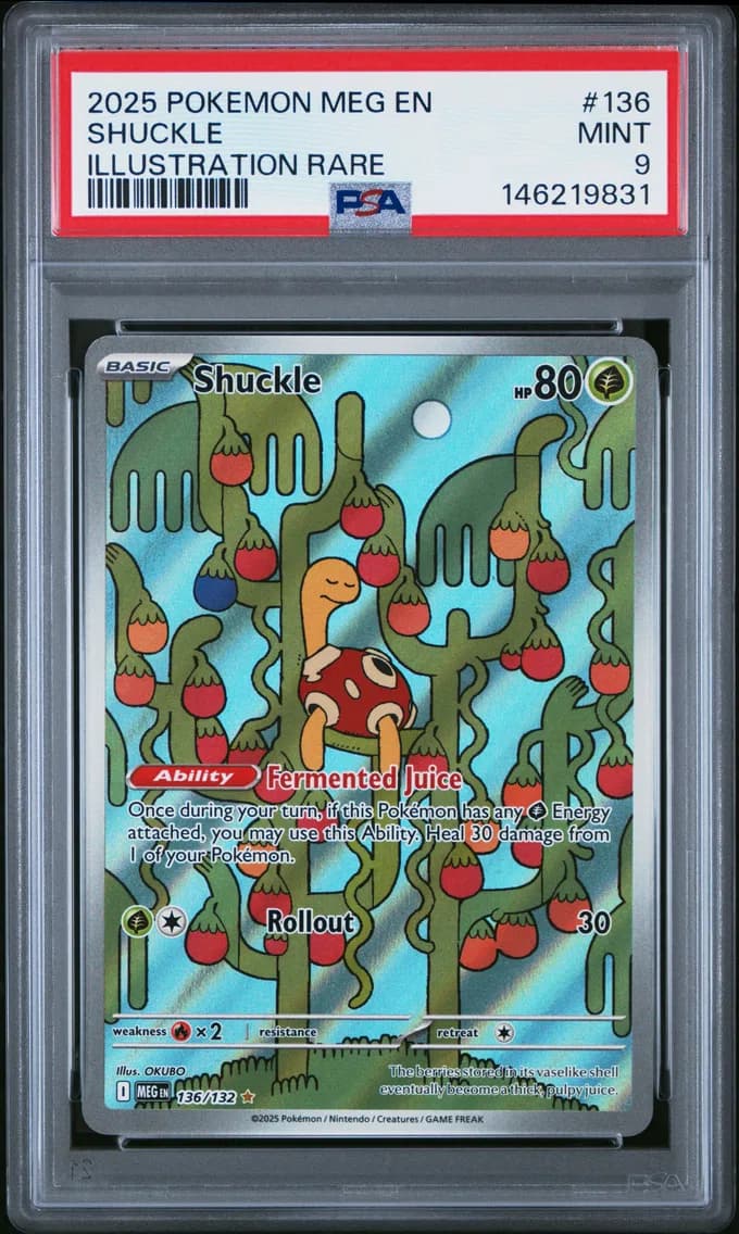 Shuckle, Mega Evolution, PSA 9