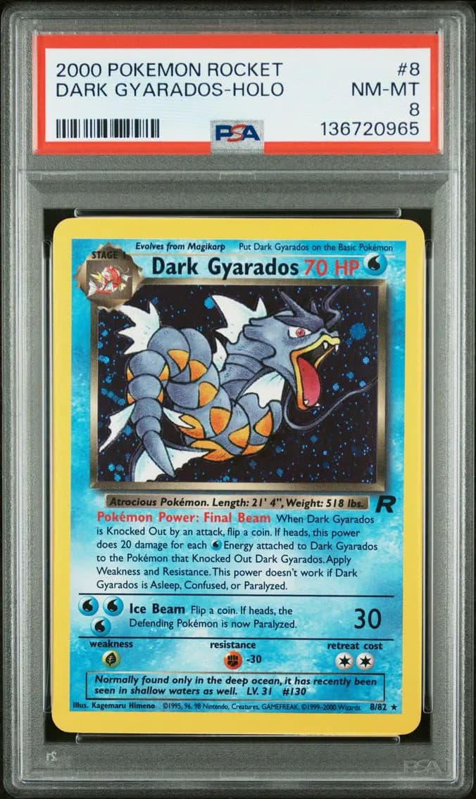 Dark Gyarados-Holo, Rocket, PSA 8