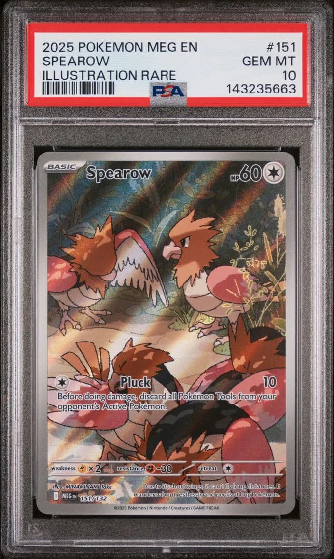 Spearow, Mega Evolution, PSA 10