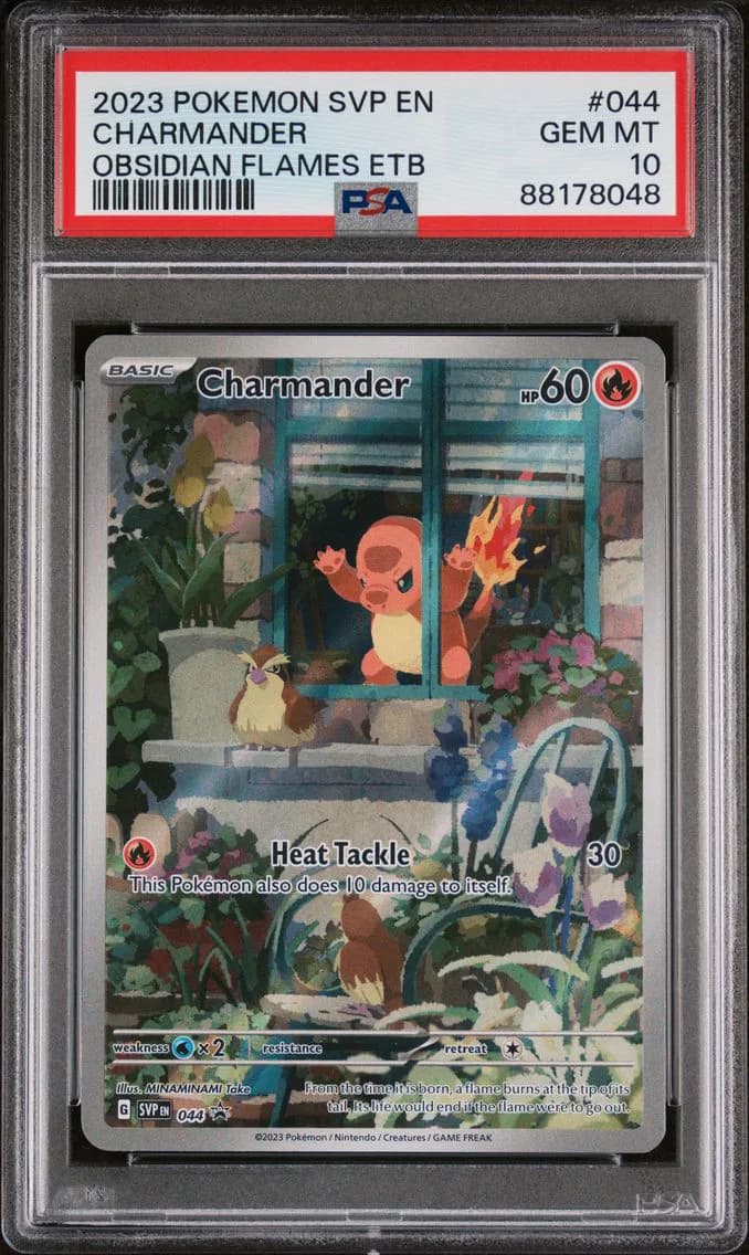 Charmander, SV Black Star Promo, PSA 10