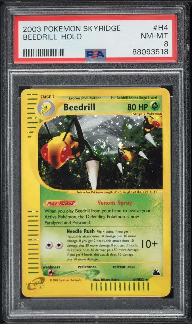 Beedrill-Holo, Skyridge, PSA 8