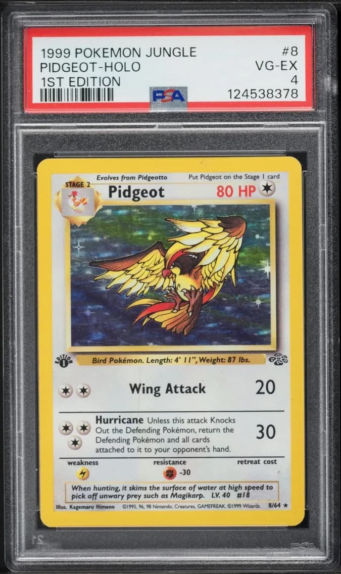 Pidgeot-Holo 1st Edition, Jungle, PSA 4