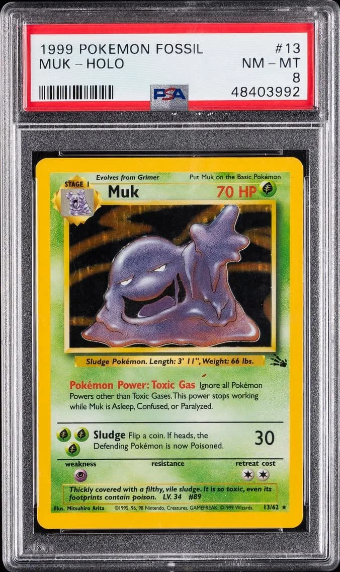 Muk-Holo, Fossil, PSA 8
