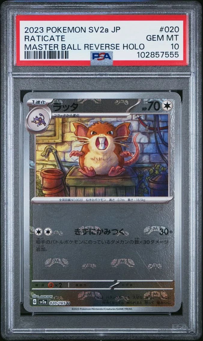 Raticate Master Ball Reverse Holo, Japanese Sv2a-Pokemon 151, PSA 10