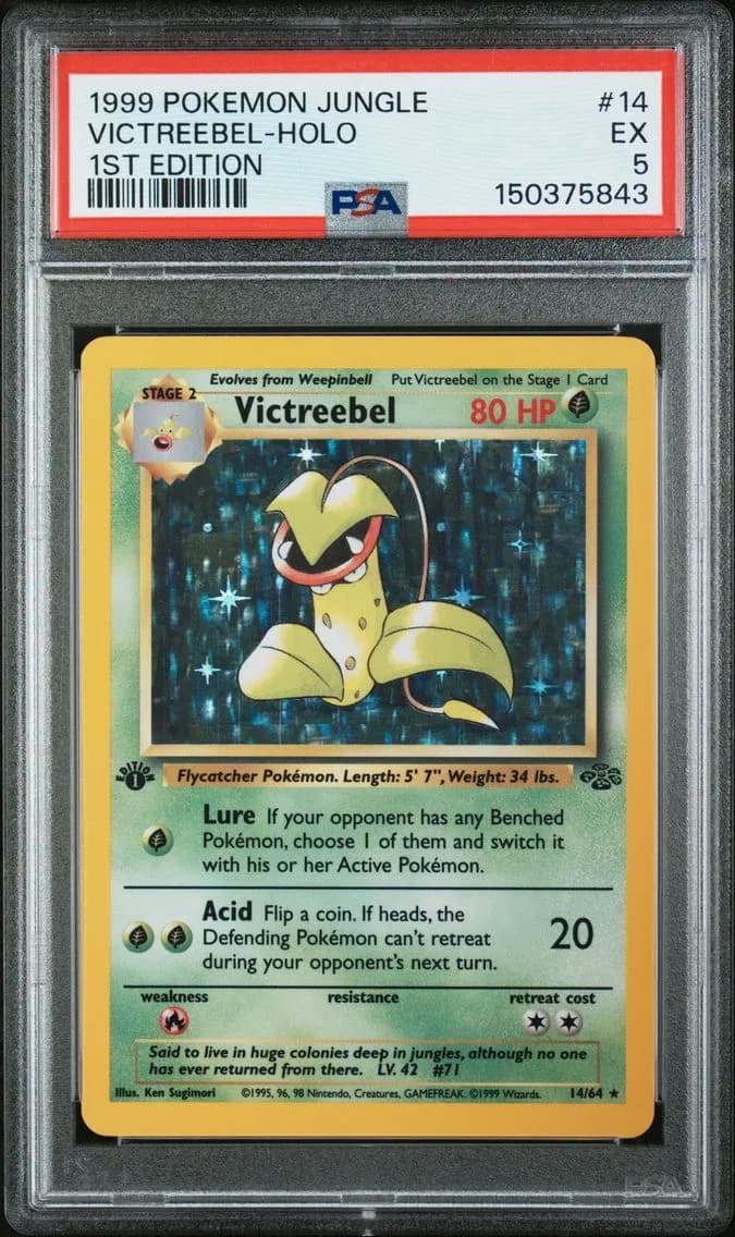 Victreebel-Holo 1st Edition, Jungle, PSA 5