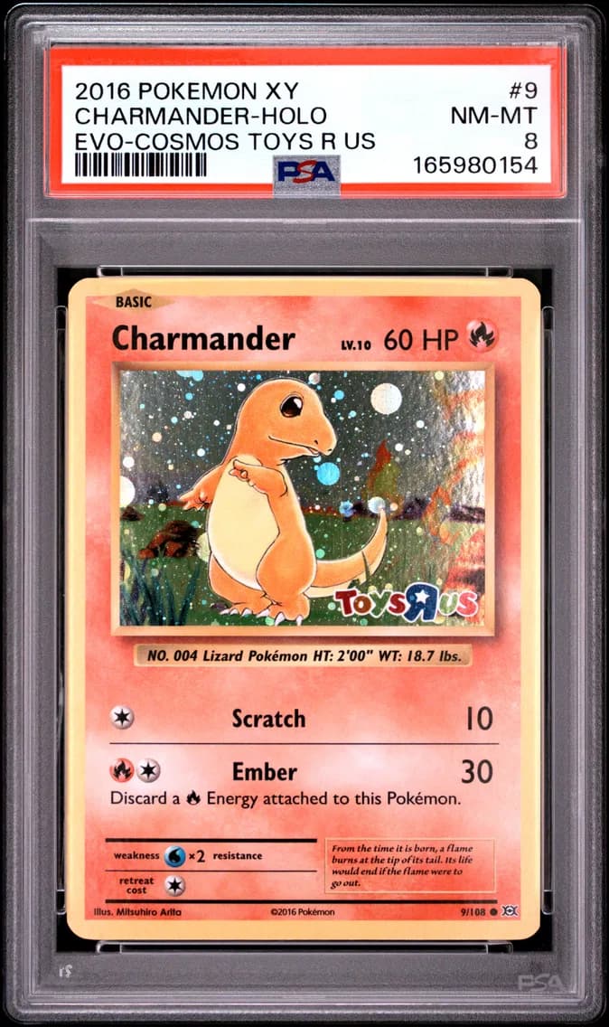 Charmander-Holo, XY Evolutions, PSA 8