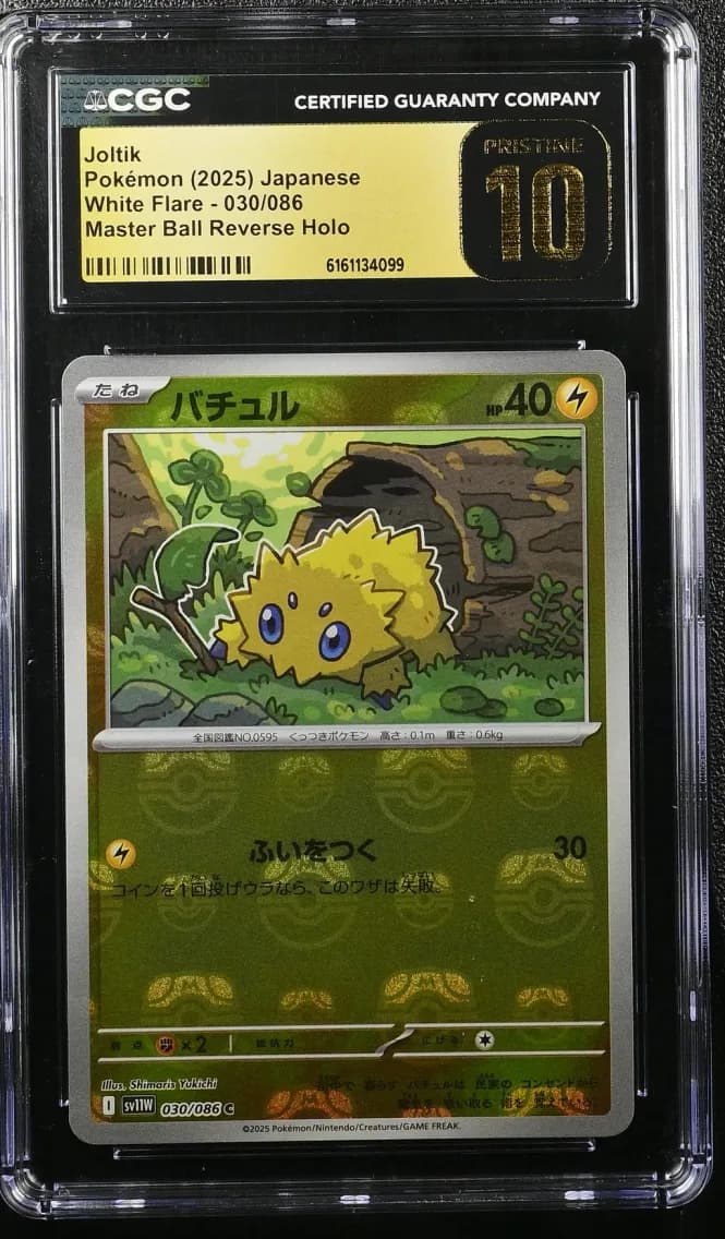 Joltik Master Ball Reverse Holo, White Flare - sv11W - Japanese, CGC 10