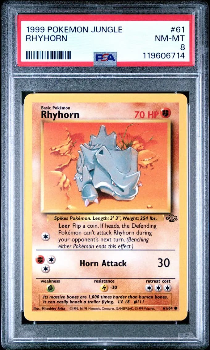 Rhyhorn, Jungle, PSA 8