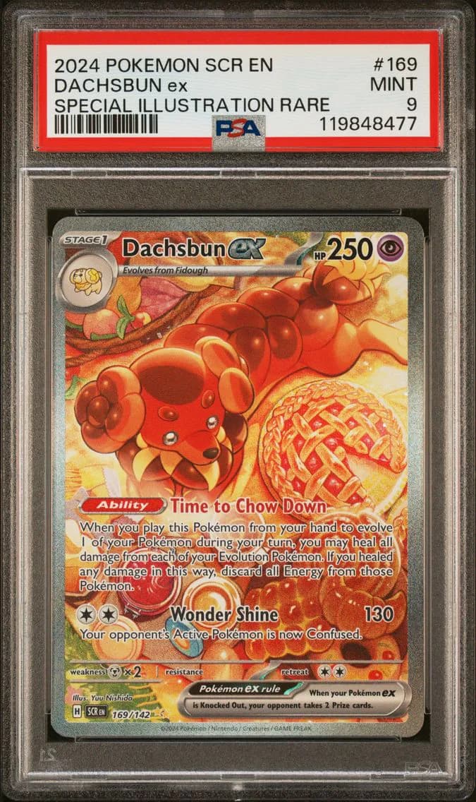 Dachsbun EX, Stellar Crown, PSA 9