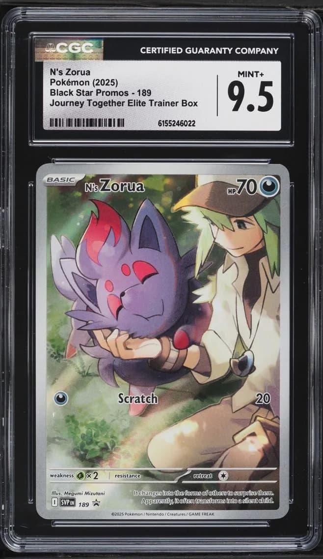 N's Zorua, Black Star Promos - Scarlet & Violet SVP EN, CGC 9.5