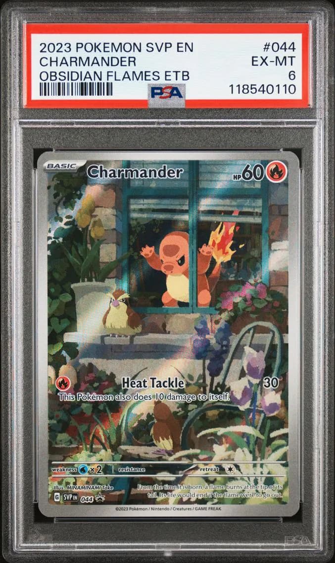 Charmander, SV Black Star Promo, PSA 6