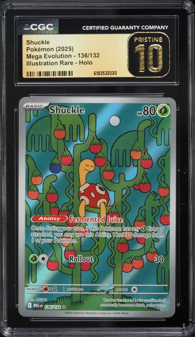 Shuckle, Mega Evolution, CGC 10