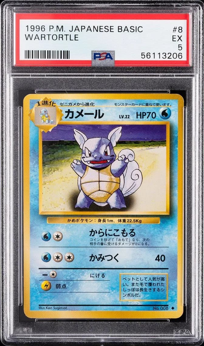 Wartortle, Japanese Basic, PSA 5