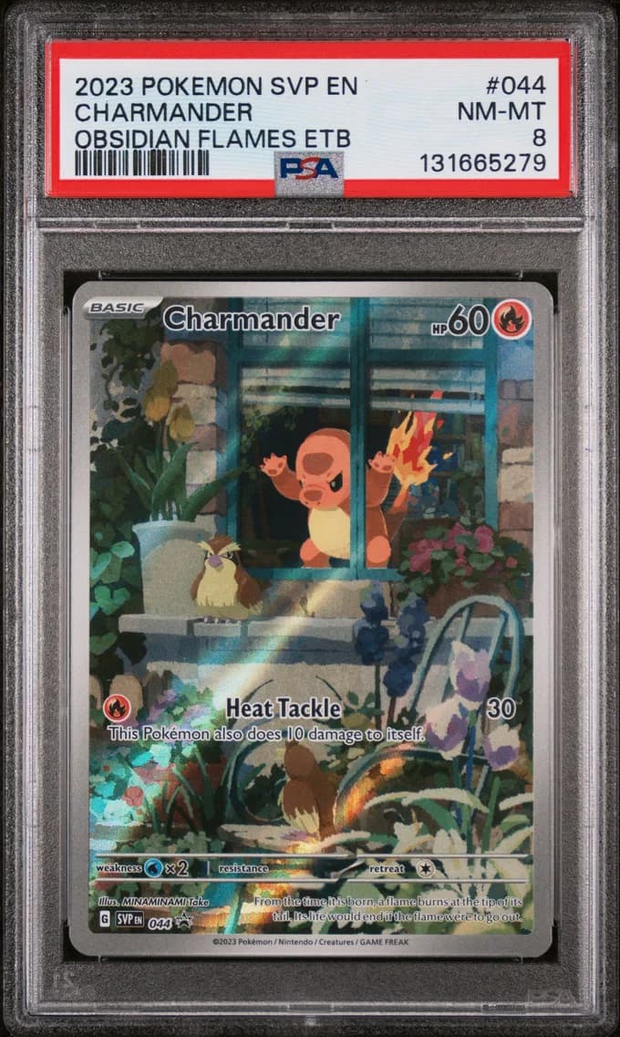 Charmander, SV Black Star Promo, PSA 8