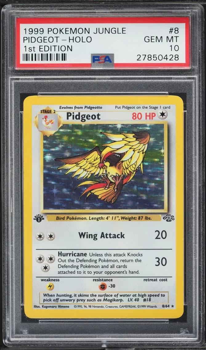 Pidgeot-Holo 1st Edition, Jungle, PSA 10